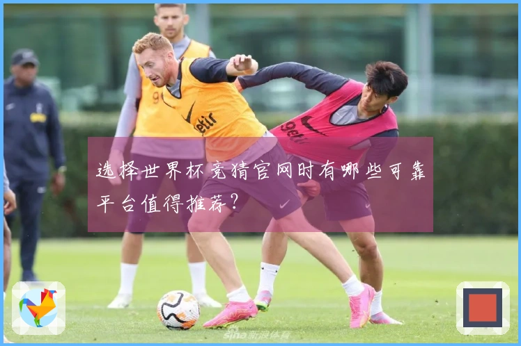 选择世界杯竞猜官网时有哪些可靠平台值得推荐？