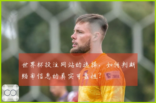 世界杯投注网站的选择，如何判断赔率信息的真实可靠性？