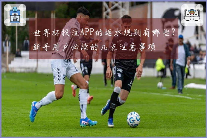 世界杯投注APP的返水规则有哪些？新手用户必读的几点注意事项