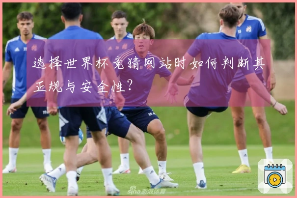 选择世界杯竞猜网站时如何判断其正规与安全性？