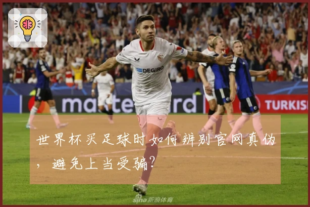 世界杯买足球时如何辨别官网真伪，避免上当受骗？