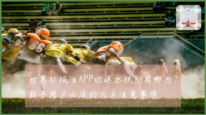 世界杯投注APP的返水规则有哪些？新手用户必读的几点注意事项